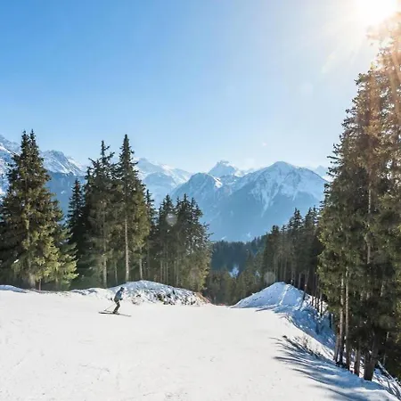 Des Reves - Pour 12 Personnes Mae-3181 Chalet La Plagne